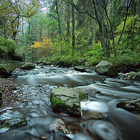 Buy canvas prints of Up stream by Jo Beerens