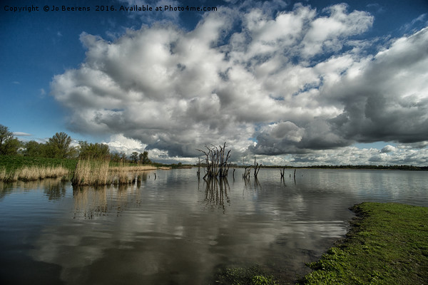 cloudy wetlands Picture Board by Jo Beerens