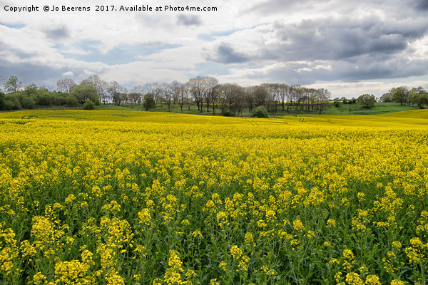 spring rapeseed field Picture Board by Jo Beerens
