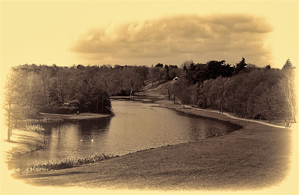 Painshill Lake Picture Board by Dean Messenger