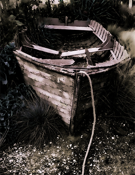 Dilapidated old boat Picture Board by Dean Messenger