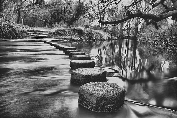 River Mole Stepping Stones Picture Board by Dean Messenger