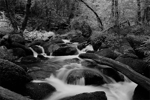 Becky Falls Black and White Picture Board by Dean Messenger