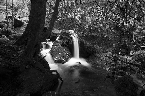 Becky Falls Pool Black and White Picture Board by Dean Messenger