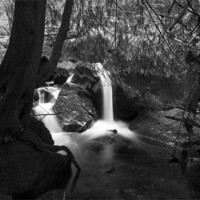 Buy canvas prints of Becky Falls Pool Black and White by Dean Messenger