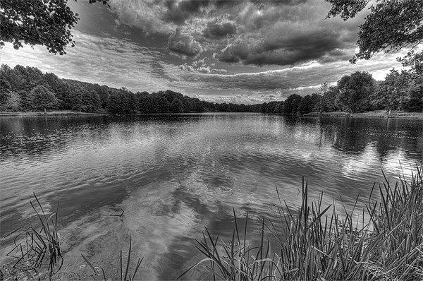 River Darent Black and White Picture Board by Dean Messenger