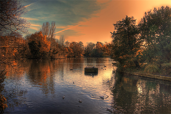 Autumn evening over the lake Picture Board by Dean Messenger