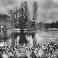 Buy canvas prints of Lake at Winter by Dean Messenger