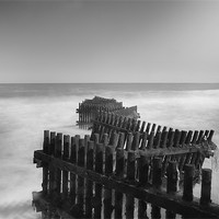 Buy canvas prints of Caister Groynes Mono by Dean Messenger