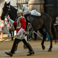 Buy canvas prints of Horse and Guard by Dean Messenger