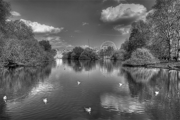 St James Park black and white Picture Board by Dean Messenger