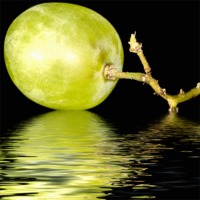 Buy canvas prints of just a  green grape by Dean Messenger