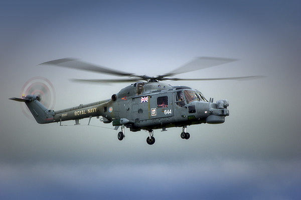 Royal navy Black Cat Lynx Picture Board by Dean Messenger