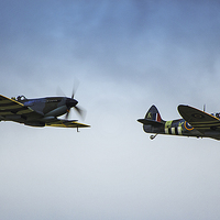 Buy canvas prints of Spitfires in Flight by Dean Messenger