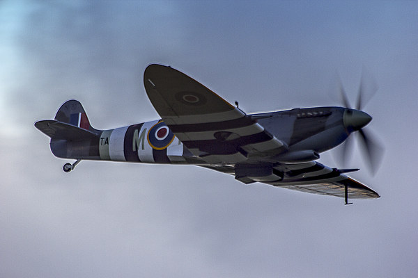 Spitfire IXe TA805 Picture Board by Dean Messenger