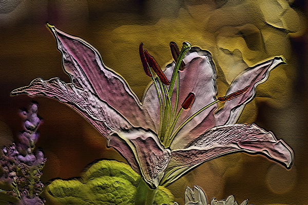 pink lilies Picture Board by Dean Messenger