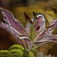 Buy canvas prints of pink lilies by Dean Messenger