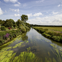 Buy canvas prints of  River Arun by Dean Messenger