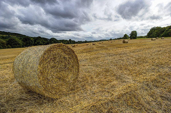  Hay Bales Picture Board by Dean Messenger