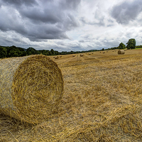 Buy canvas prints of  Hay Bales by Dean Messenger