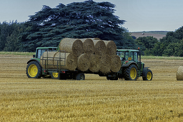  Gathering the hay bales Picture Board by Dean Messenger