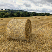 Buy canvas prints of  Straw bales by Dean Messenger