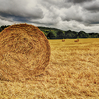 Buy canvas prints of  straw bales by Dean Messenger