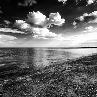 Buy canvas prints of  Pagham Beach Black and White by Dean Messenger