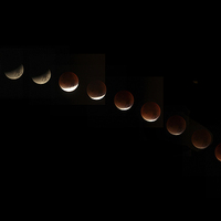 Buy canvas prints of  Blood Moon Eclipse by Dean Messenger