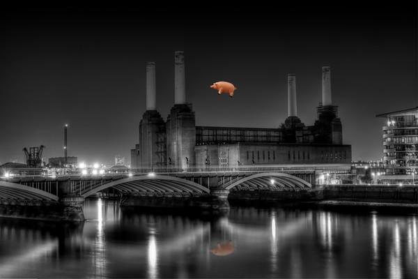 Battersea Power station and pig Picture Board by Dean Messenger
