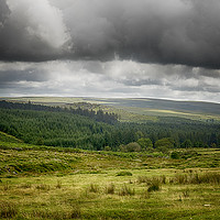 Buy canvas prints of Dartmoor forest by Dean Messenger
