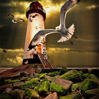 Buy canvas prints of Talacre lighthouse with seagulls by meirion matthias