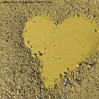 Buy canvas prints of love is a muddy puddle by meirion matthias