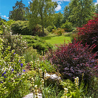 Buy canvas prints of the country garden by meirion matthias