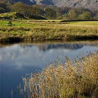 Buy canvas prints of langdale pikes from elterwater by meirion matthias