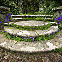 Buy canvas prints of beautifully planted stone garden steps by meirion matthias