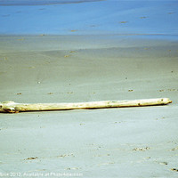 Buy canvas prints of Beach driftwood by Mandy Rice