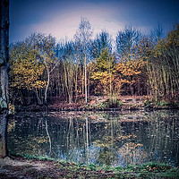 Buy canvas prints of Trees by the lake by Mandy Rice