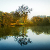 Buy canvas prints of Mist across the lake by Mandy Rice