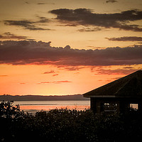 Buy canvas prints of Sunset at the bird hide by Mandy Rice