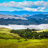 Buy canvas prints of Up to the Coromandel Peninsular NZ by Mandy Rice