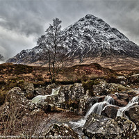 Buy canvas prints of Buachaille Etive Mor by Fiona Messenger