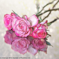 Buy canvas prints of Three Roses Reflected by Fiona Messenger