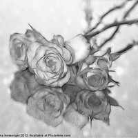 Buy canvas prints of Black and White Roses by Fiona Messenger
