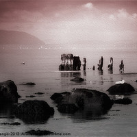 Buy canvas prints of Old Wreck by Fiona Messenger