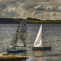 Buy canvas prints of An Evenings Sail by Fiona Messenger