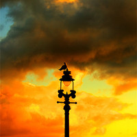 Buy canvas prints of Street light silhouette by Sara Messenger