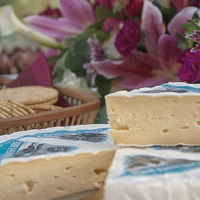 Buy canvas prints of Cornish Brie by Sara Messenger