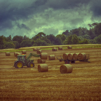 Buy canvas prints of  Harvesting the straw by Sara Messenger