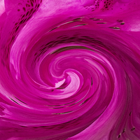 Buy canvas prints of  Pink swirl  by Sara Messenger